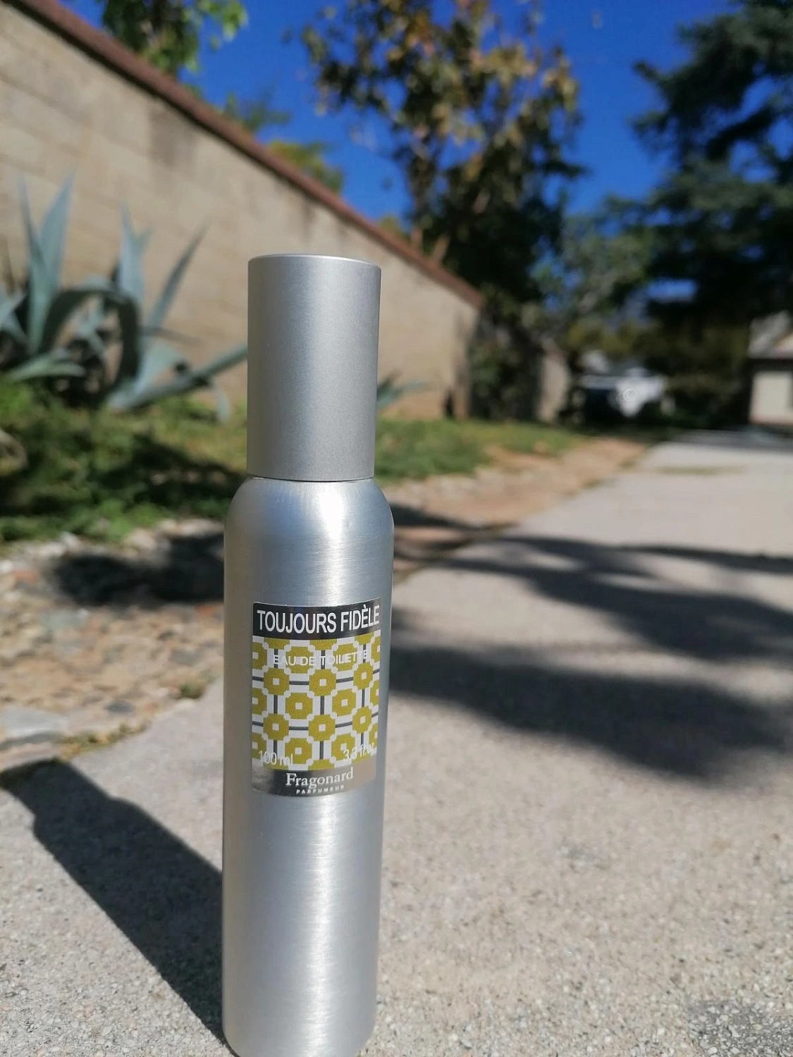 Fragonard Toujours Fidele Fragonard Toujours Fidele