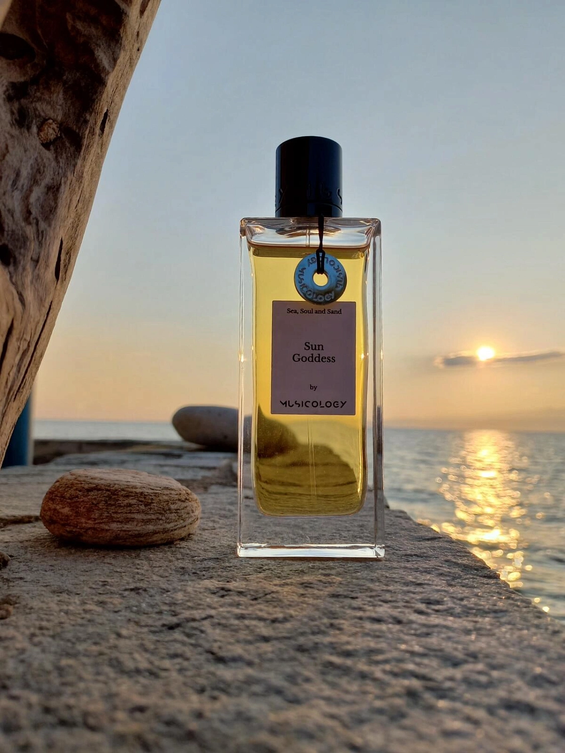 Musicology Sun Goddess