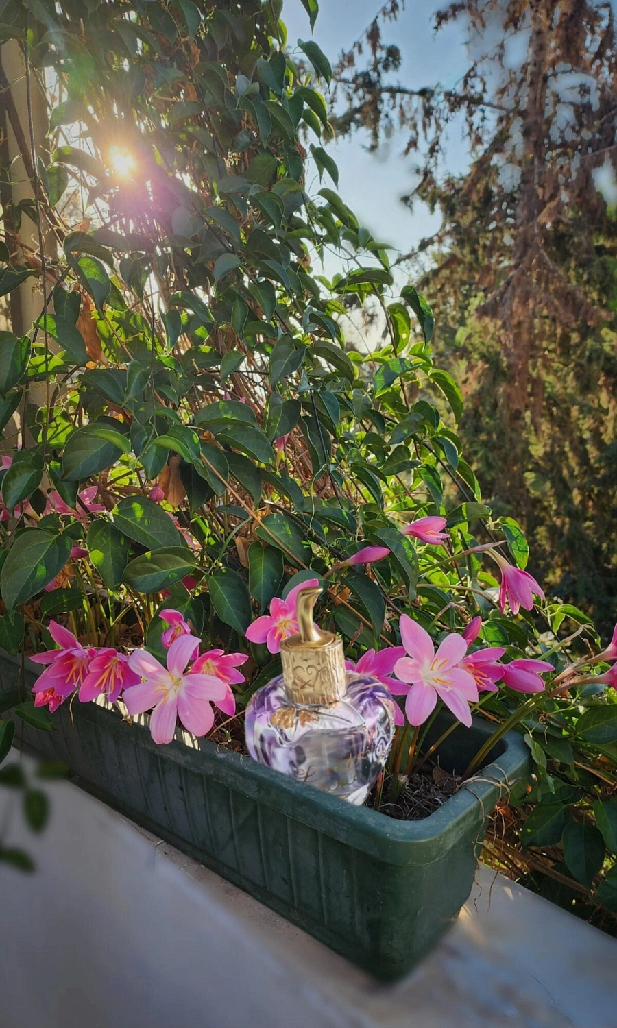 Lolita Lempicka Lolita Lempicka