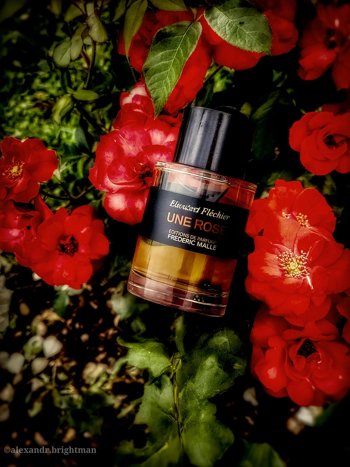 Frederic Malle Rose Tonnerre