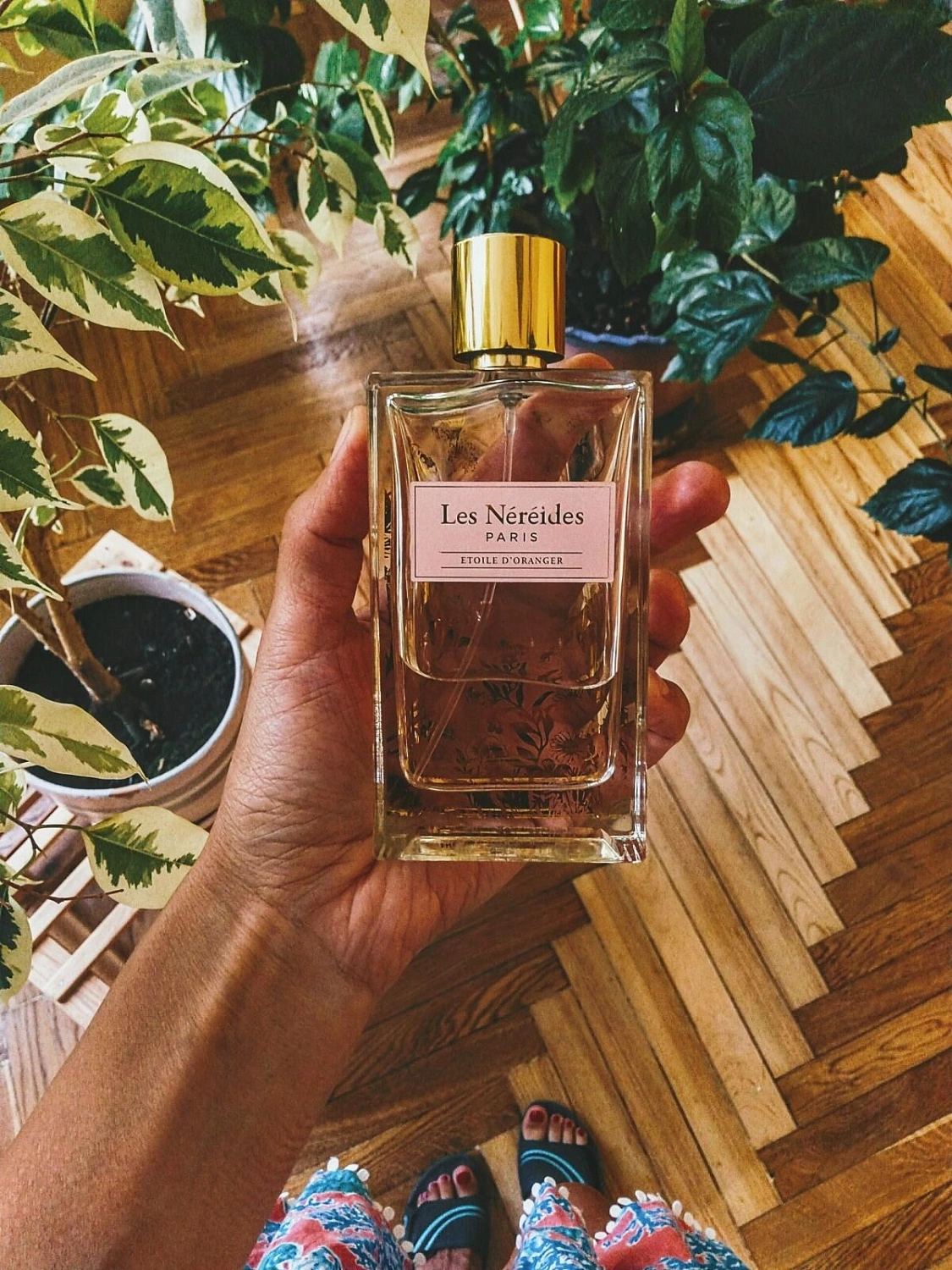 Les Nereides Etoile d'Oranger