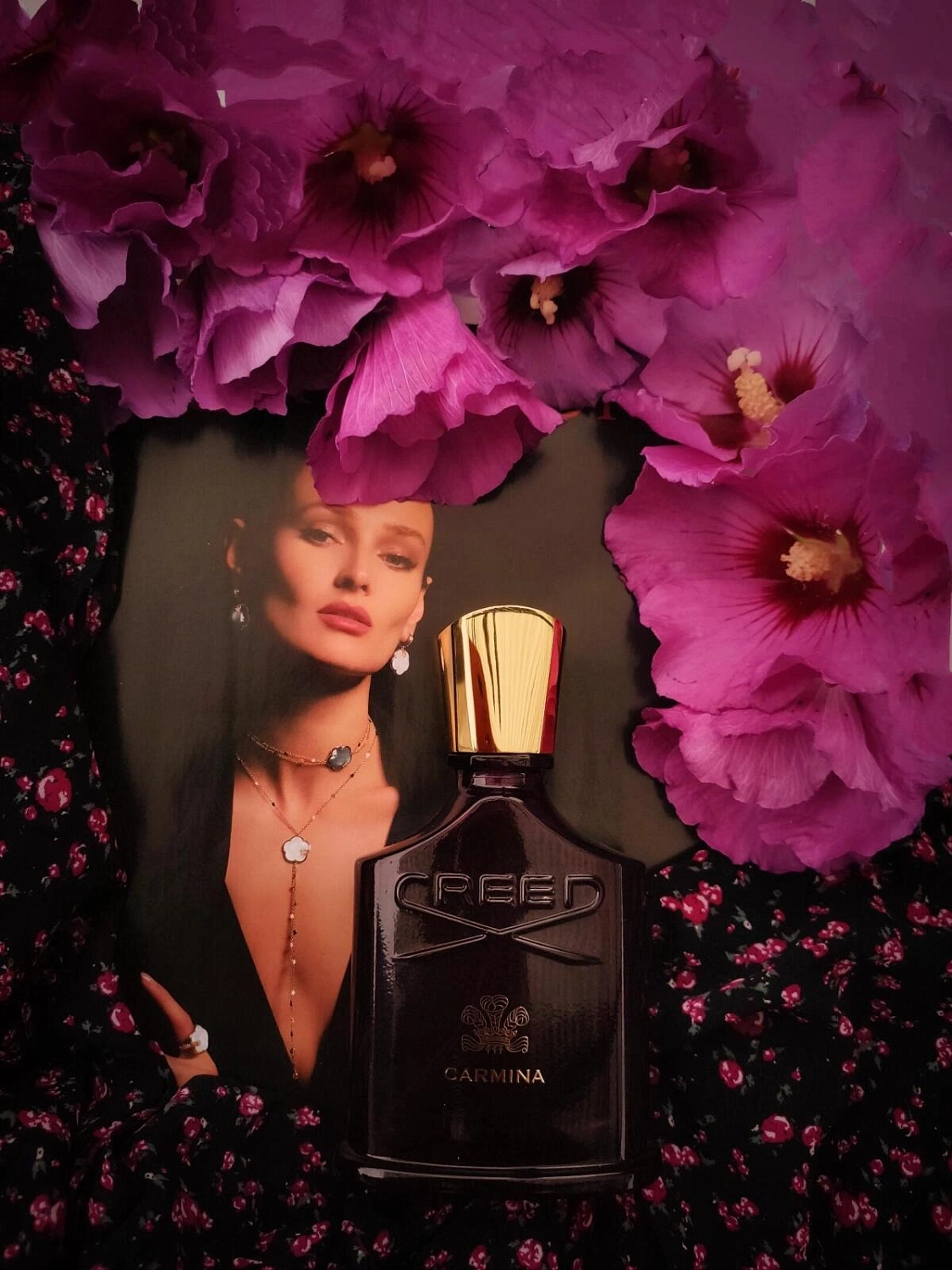 Creed Carmina