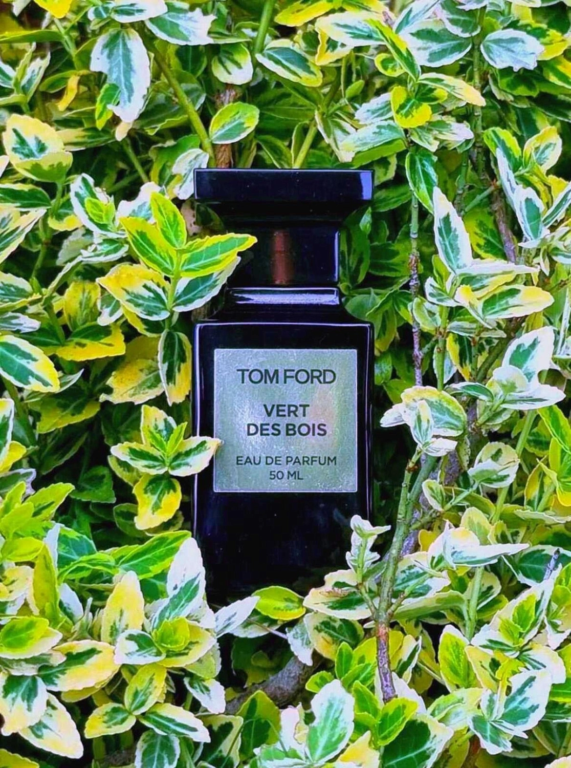 Tom Ford Vert des Bois
