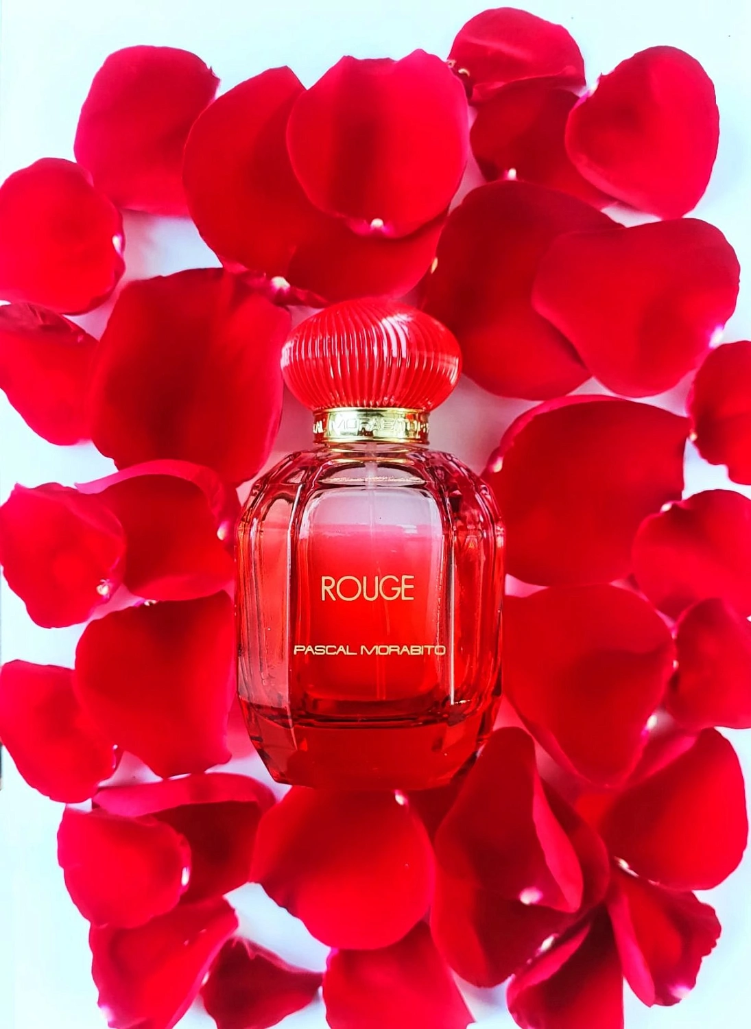 Pascal Morabito Rouge Pascal Morabito Rouge