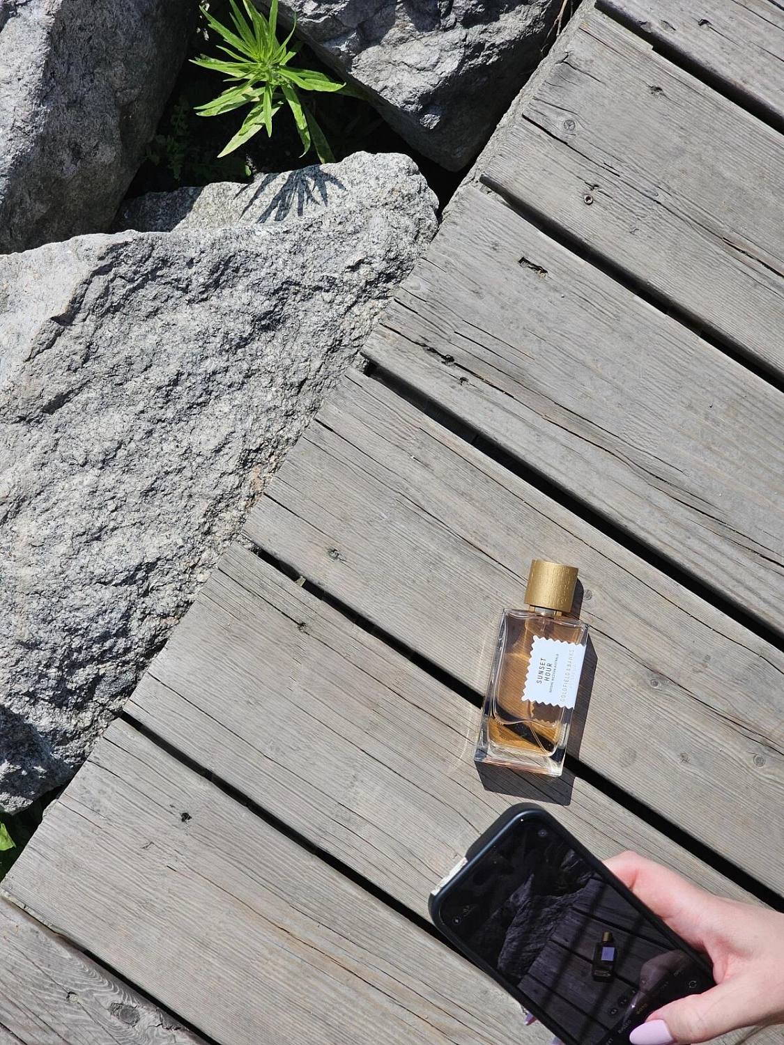 Goldfield & Banks Australia Sunset Hour