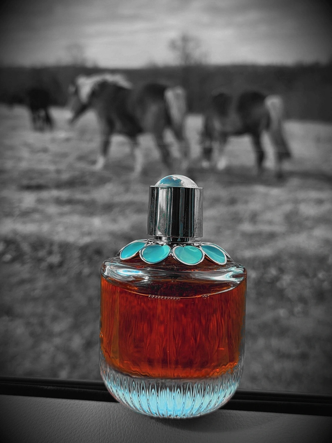 Elie Saab Girl of Now