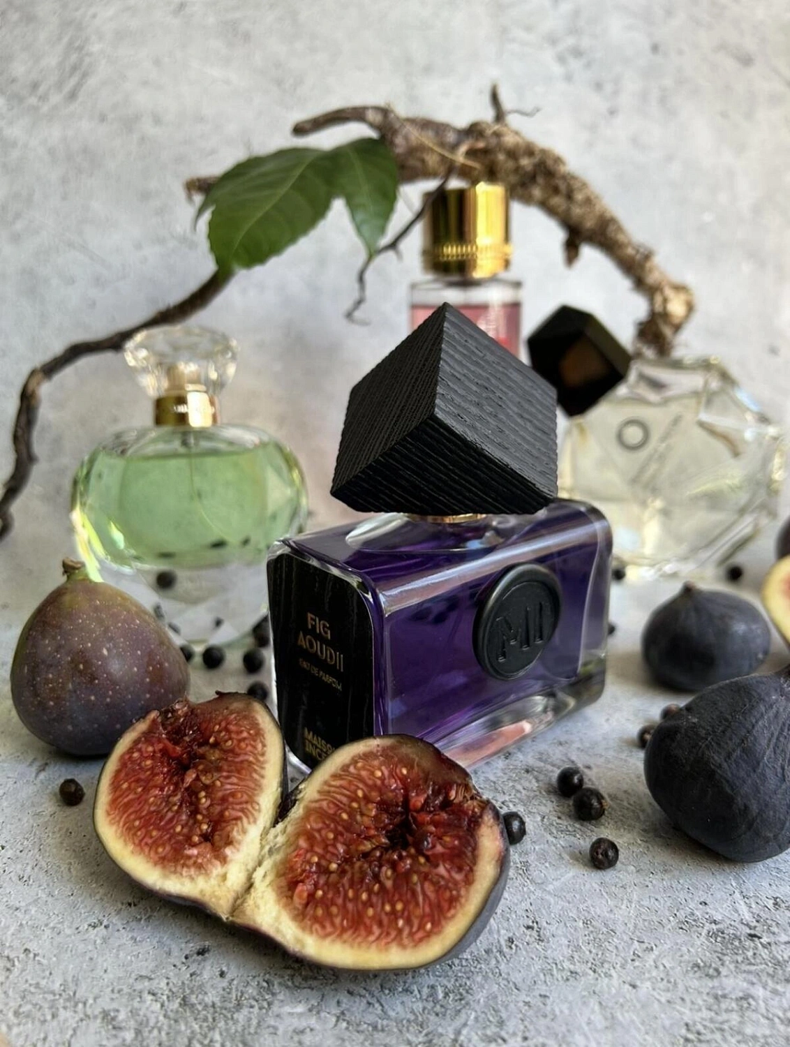 Maison Incens Figue Aoudii