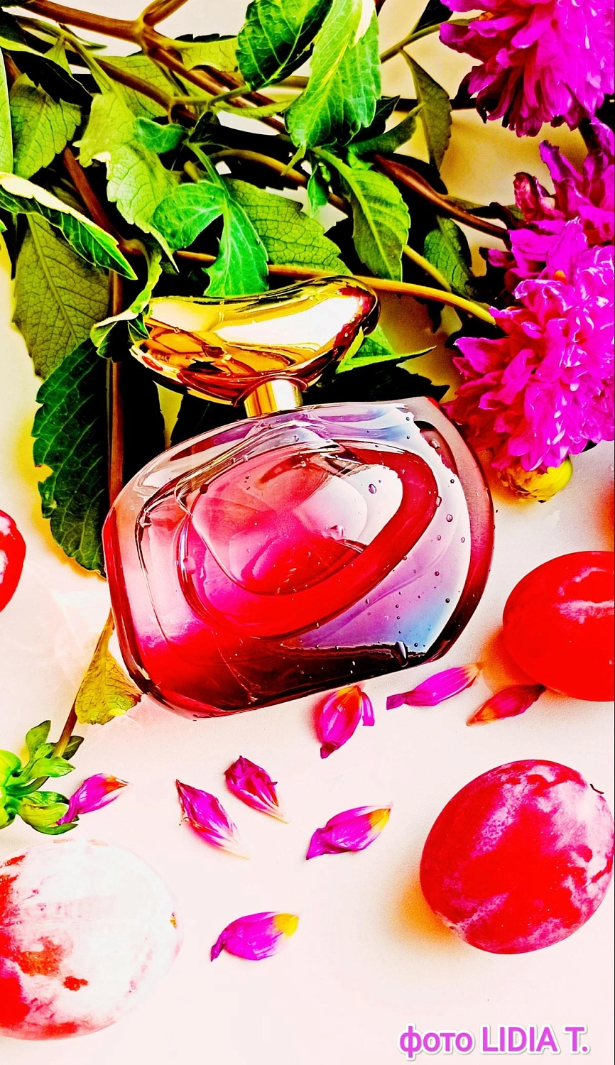 Vince Camuto Illuminare Intensa