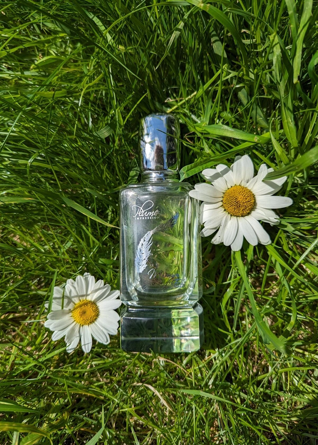 Plume Impression Murmure d'Ete