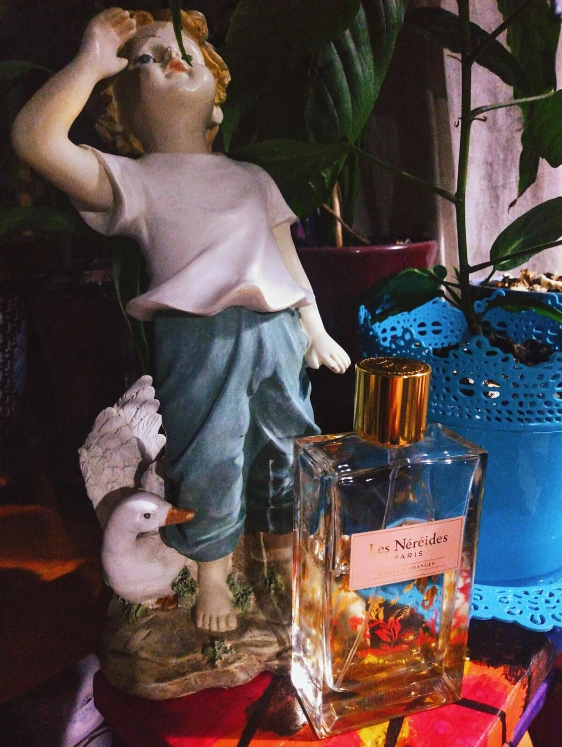 Les Nereides Etoile d'Oranger