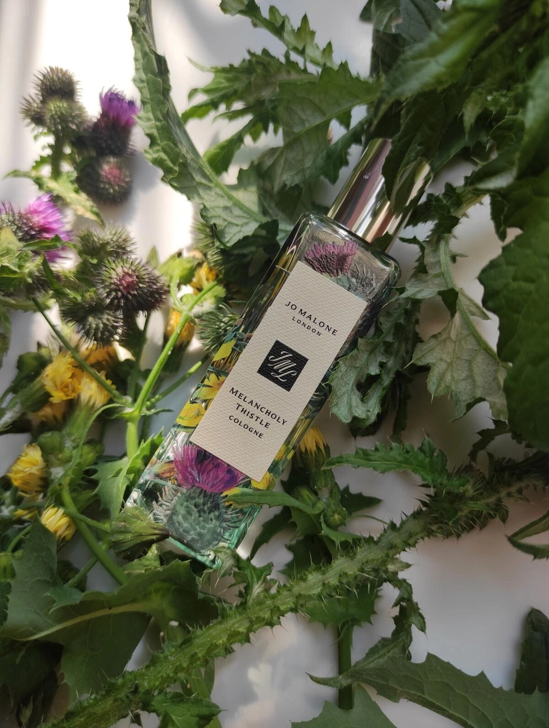 Jo Malone Melancholy Thistle