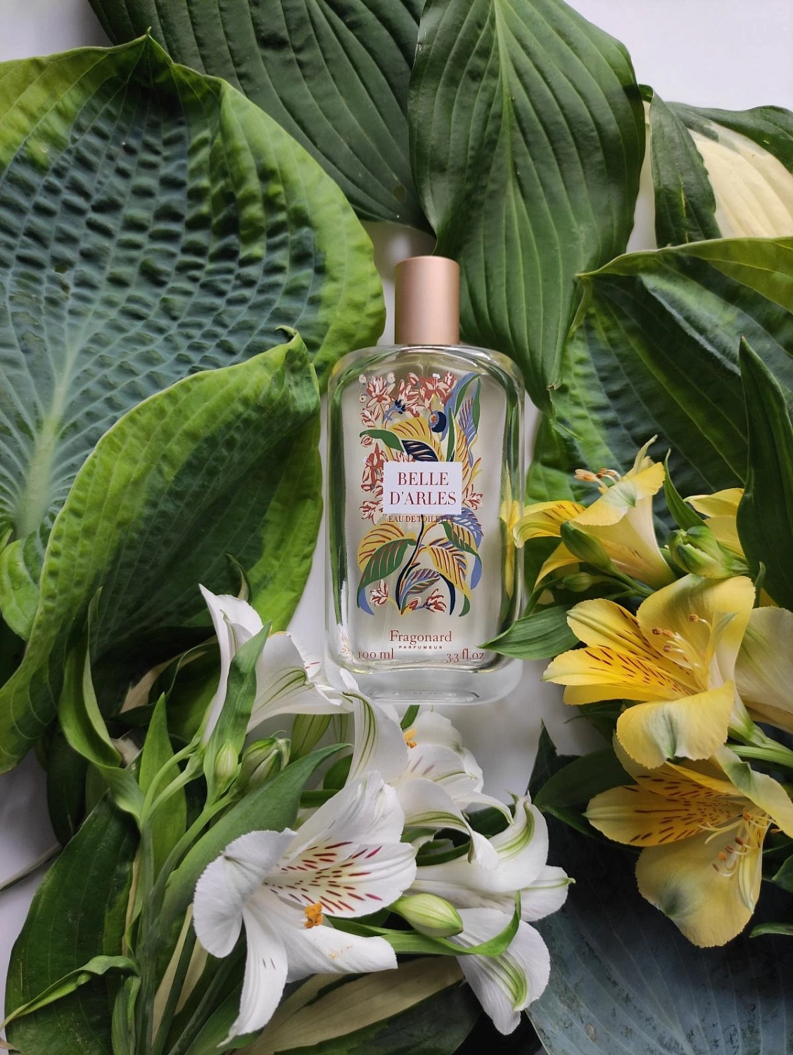 Fragonard Belle d'Arles