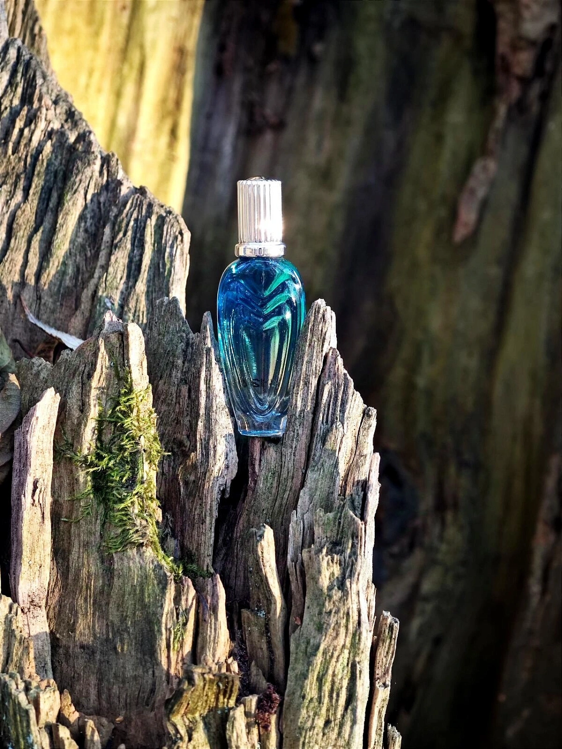 Escada Born in Paradise