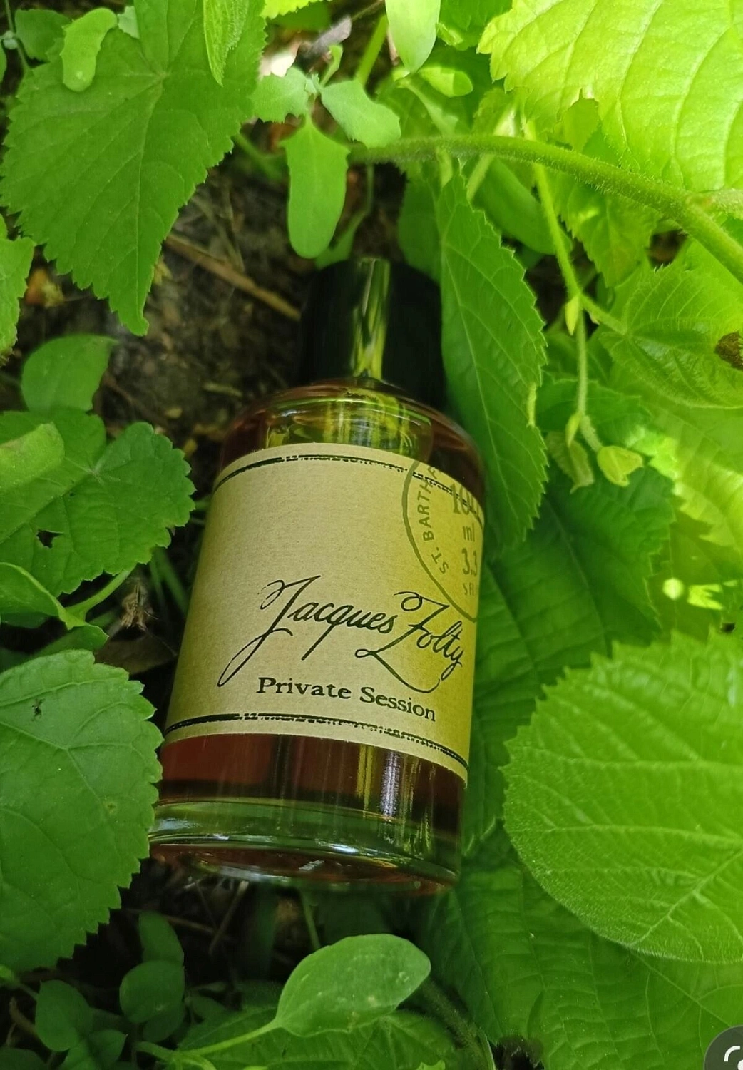 Jacques Zolty Private Session