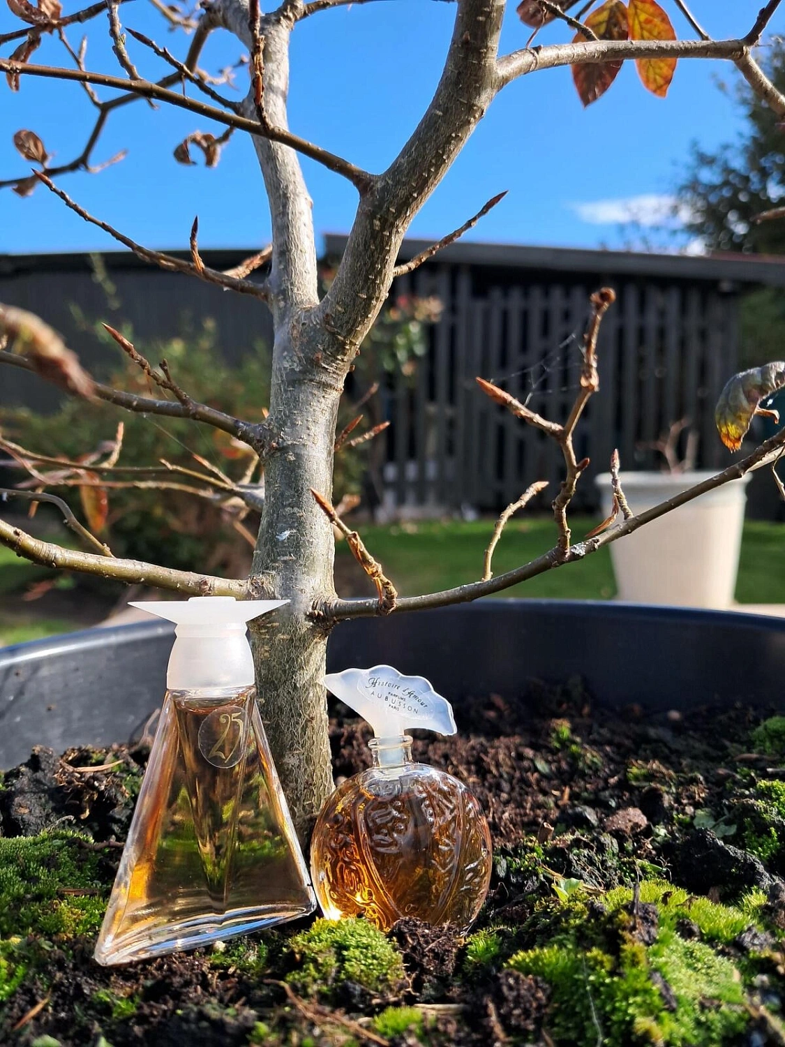 Aubusson Histoire D'Amour