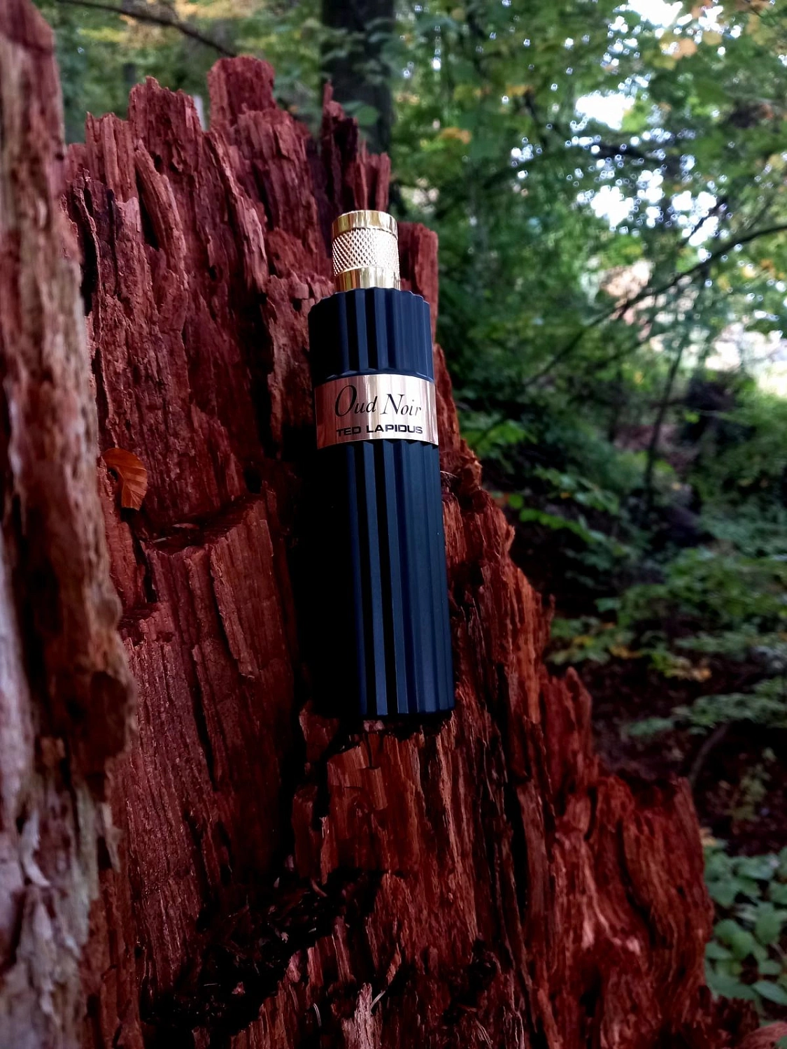 Ted Lapidus Oud Noir