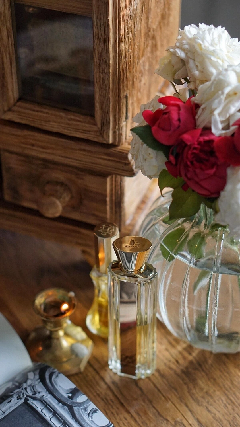 Giorgio Beverly Hills Giorgio