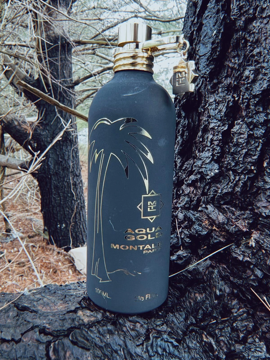 MONTALE Aqua Gold MONTALE Aqua Gold