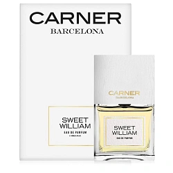 Carner Barcelona Sweet William