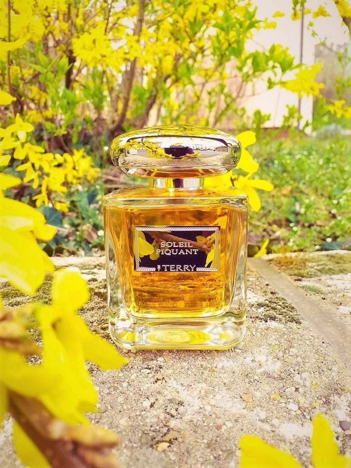 Terry De Gunzburg Soleil Piquant