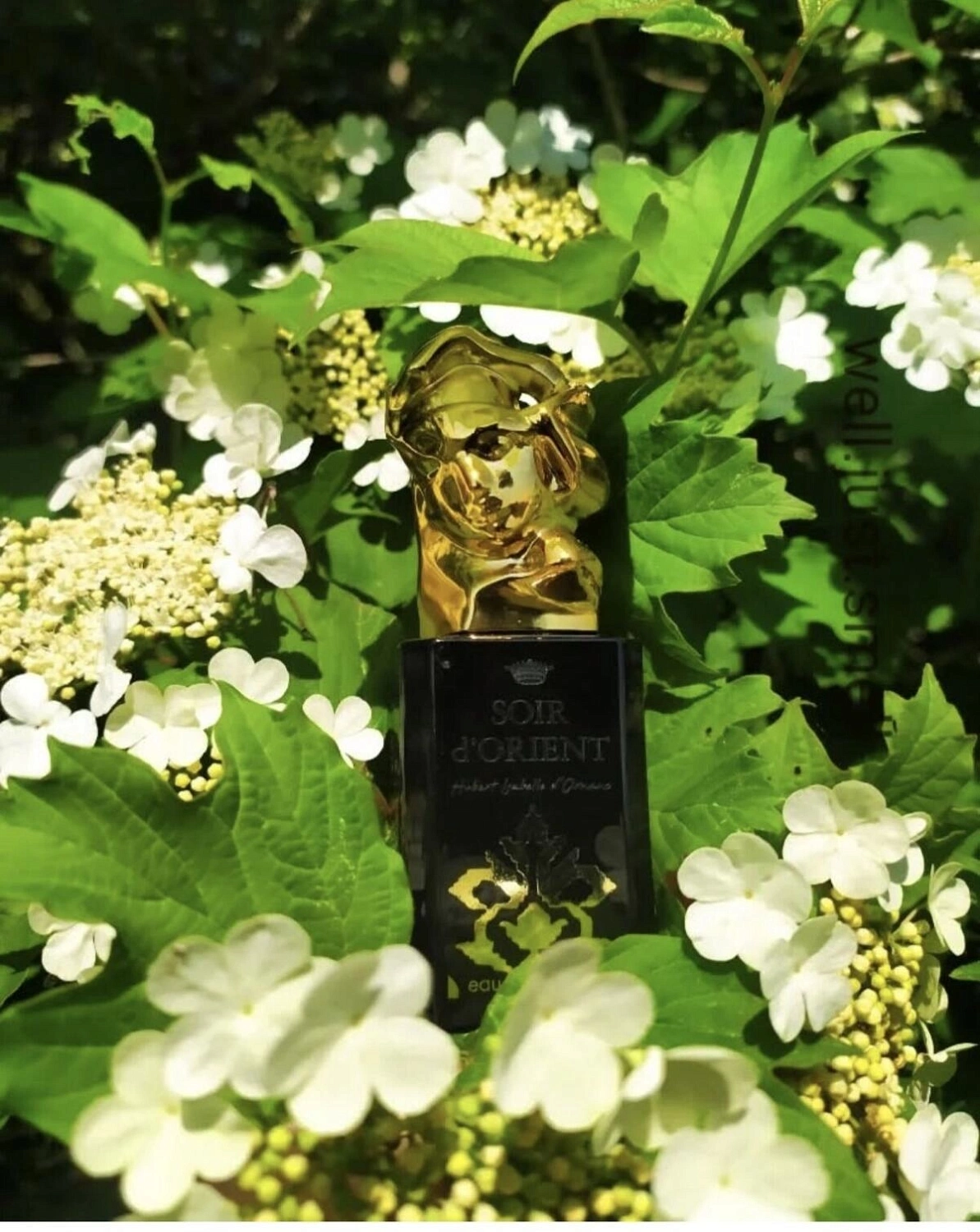 Sisley Soir d’Orient