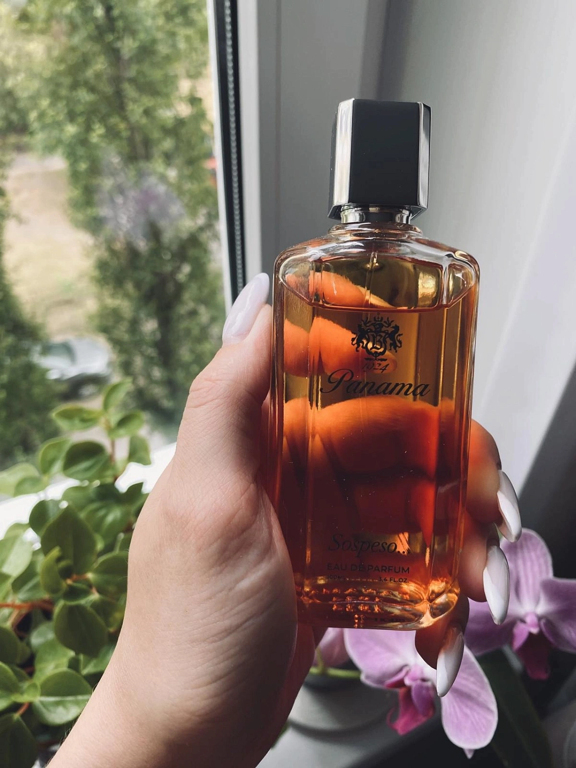 Panama 1924 (Boellis) Sospeso