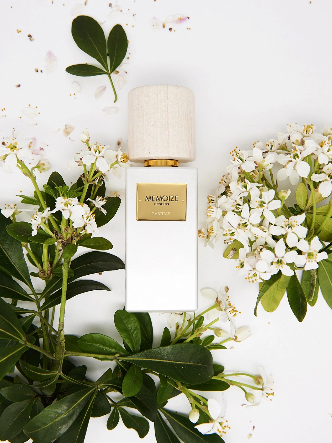 Memoize London Castitas