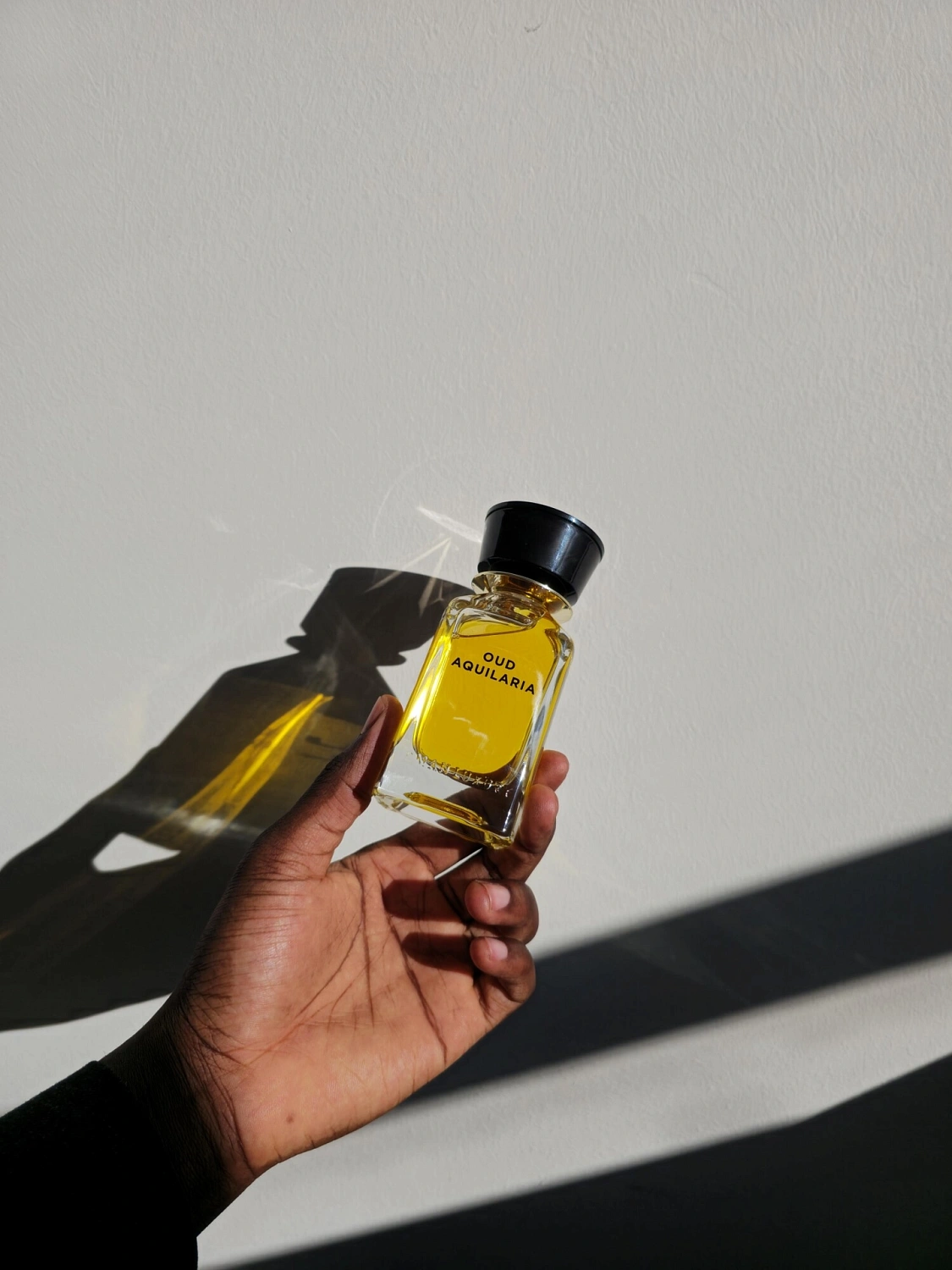 Omanluxury Oud Aquilaria