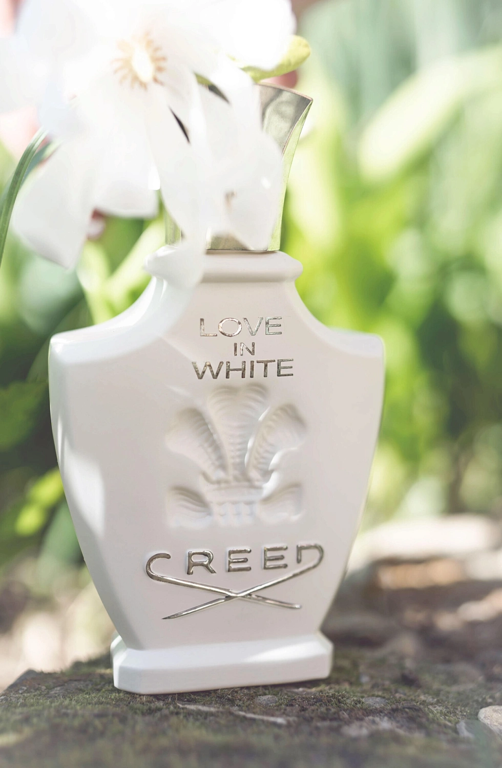 Creed Love in White