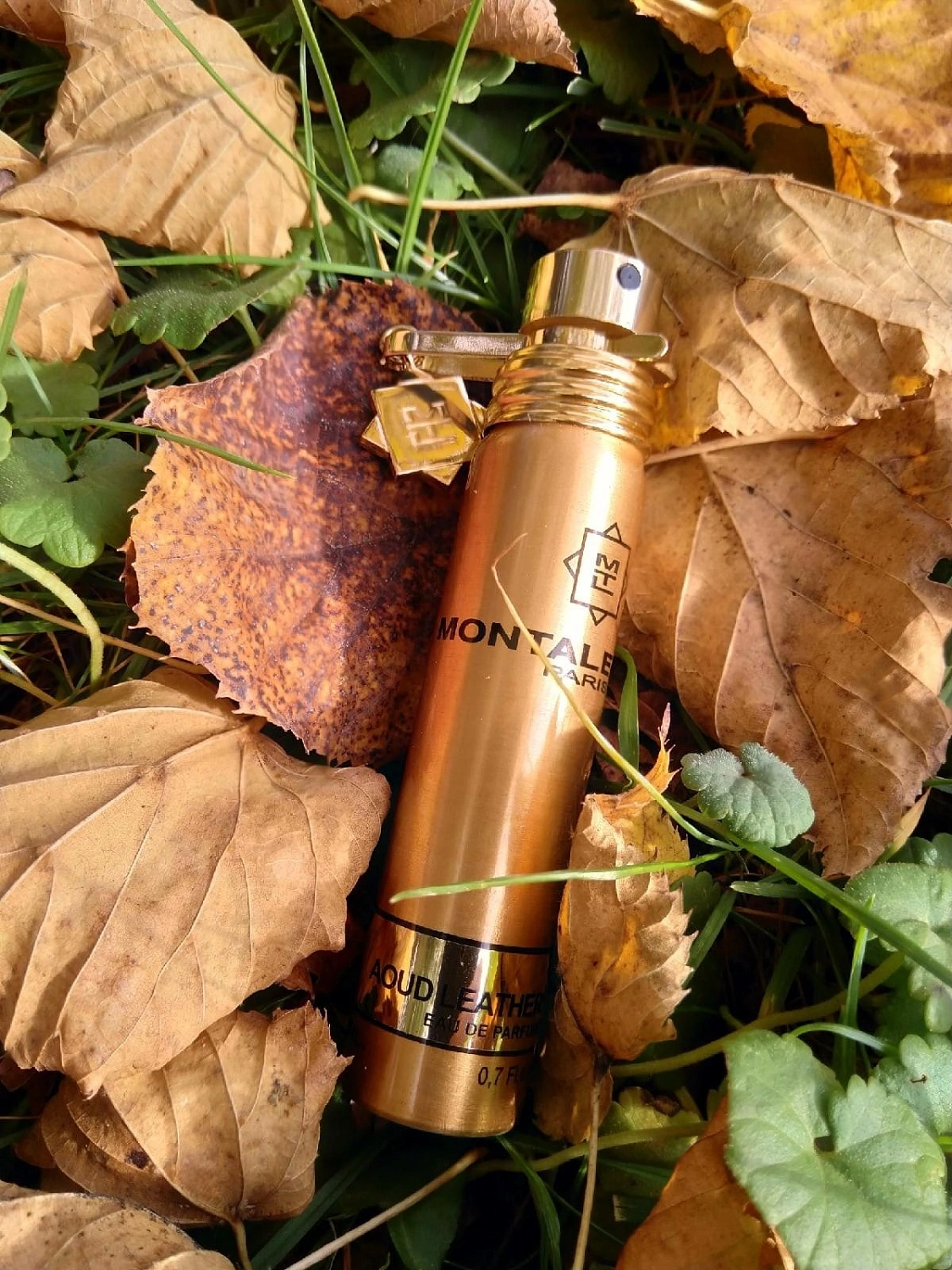 MONTALE Aoud Leather