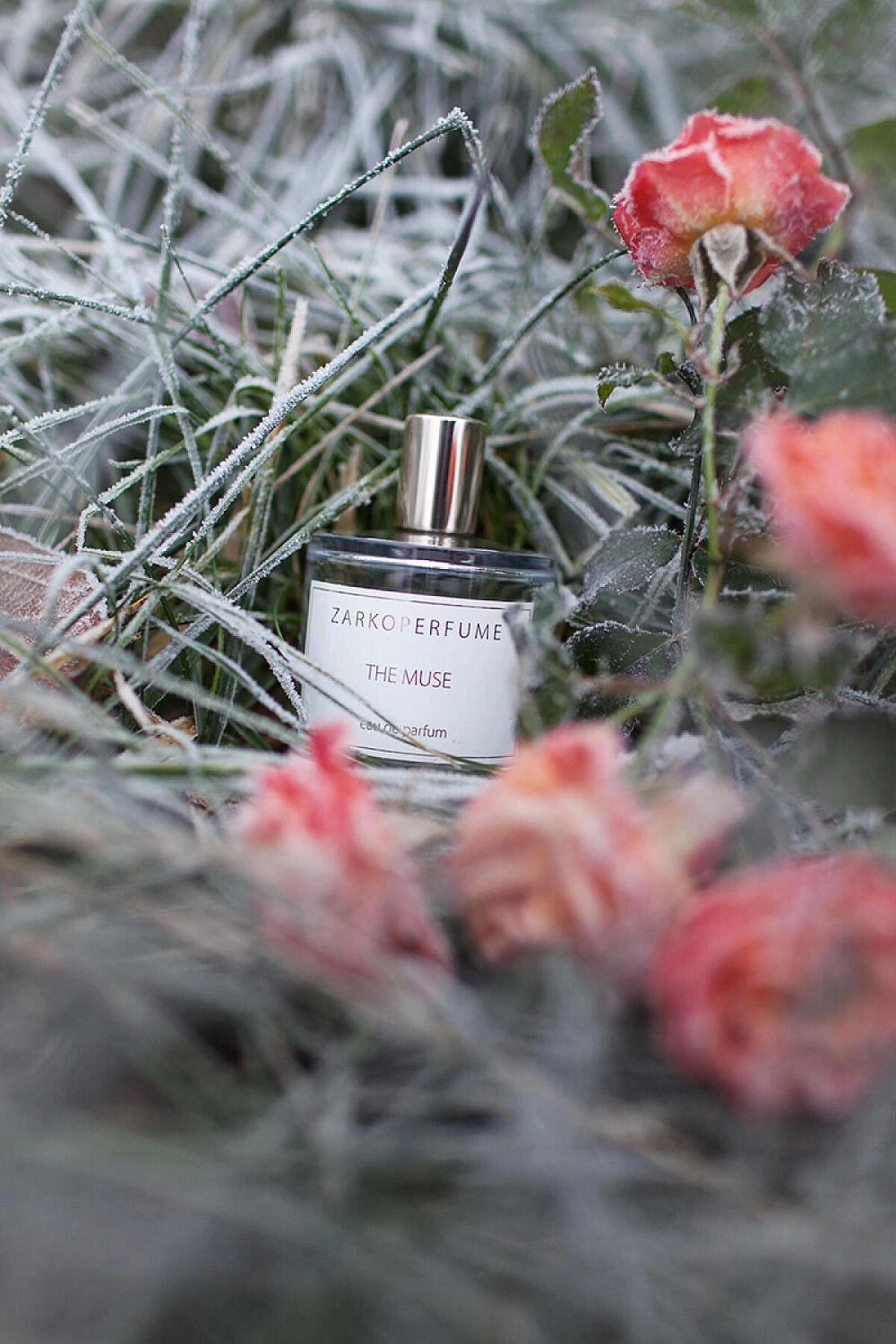 Zarkoperfume The Muse Zarkoperfume The Muse