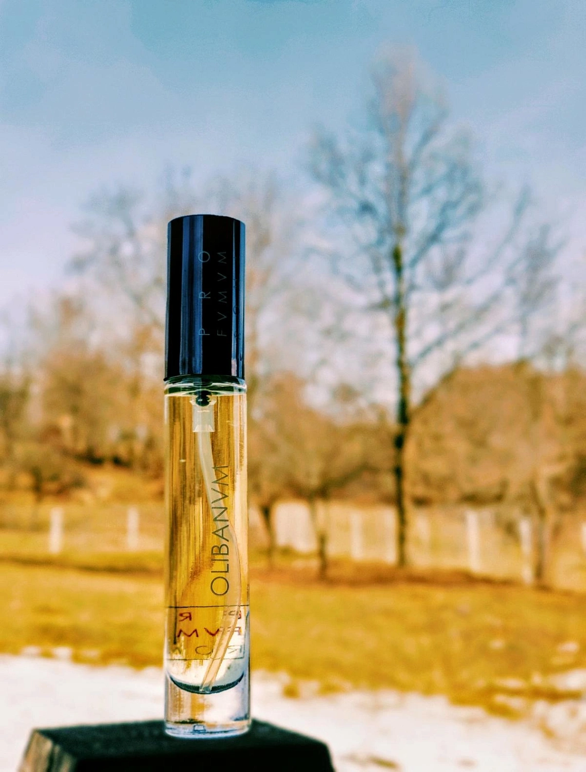 Profumum Roma Olibanum