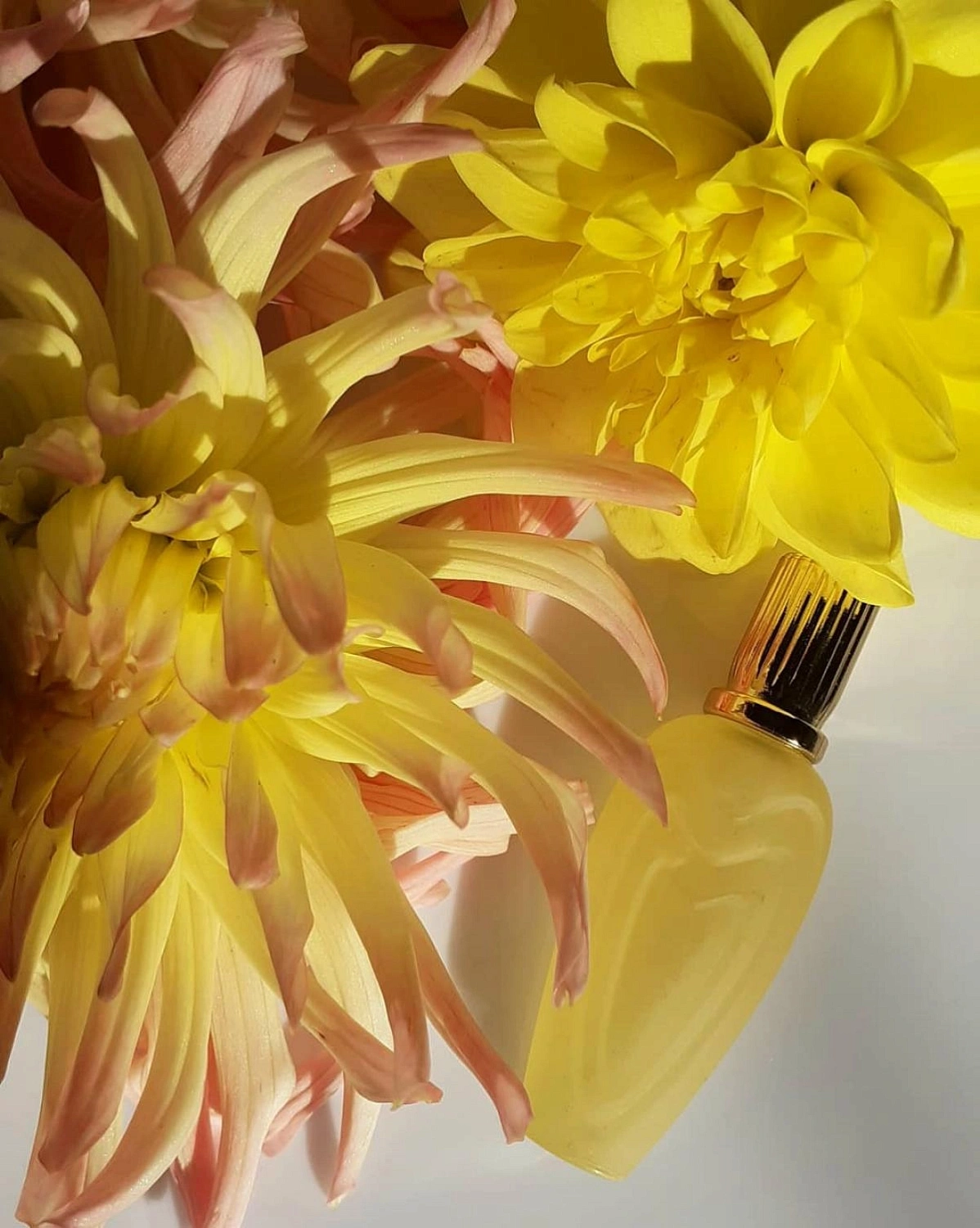 Escada Jardin de Soleil