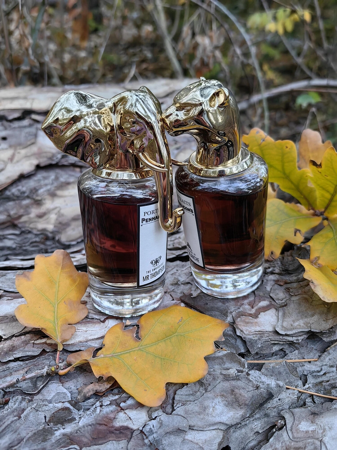 Penhaligon's The Omniscient Mr Thompson