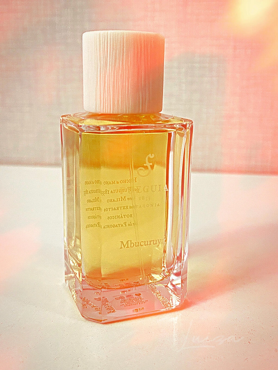 Fueguia 1833 Mbucuruya