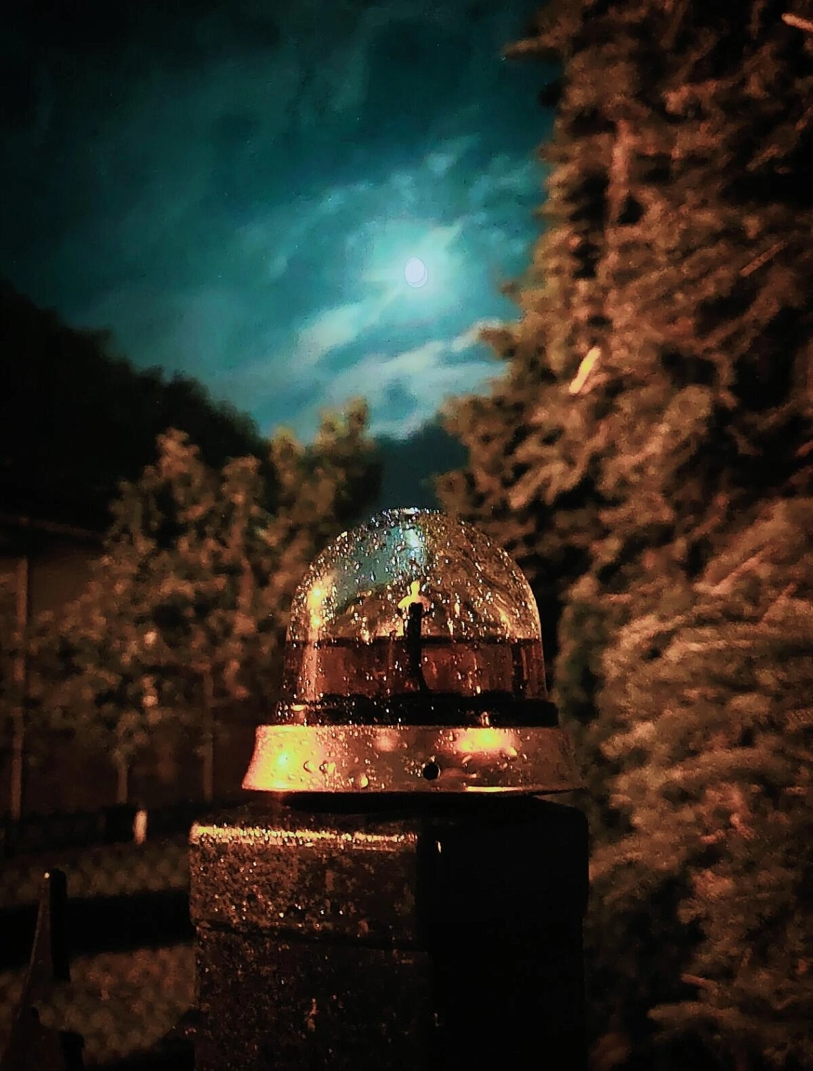 Jean Paul Gaultier Fragile