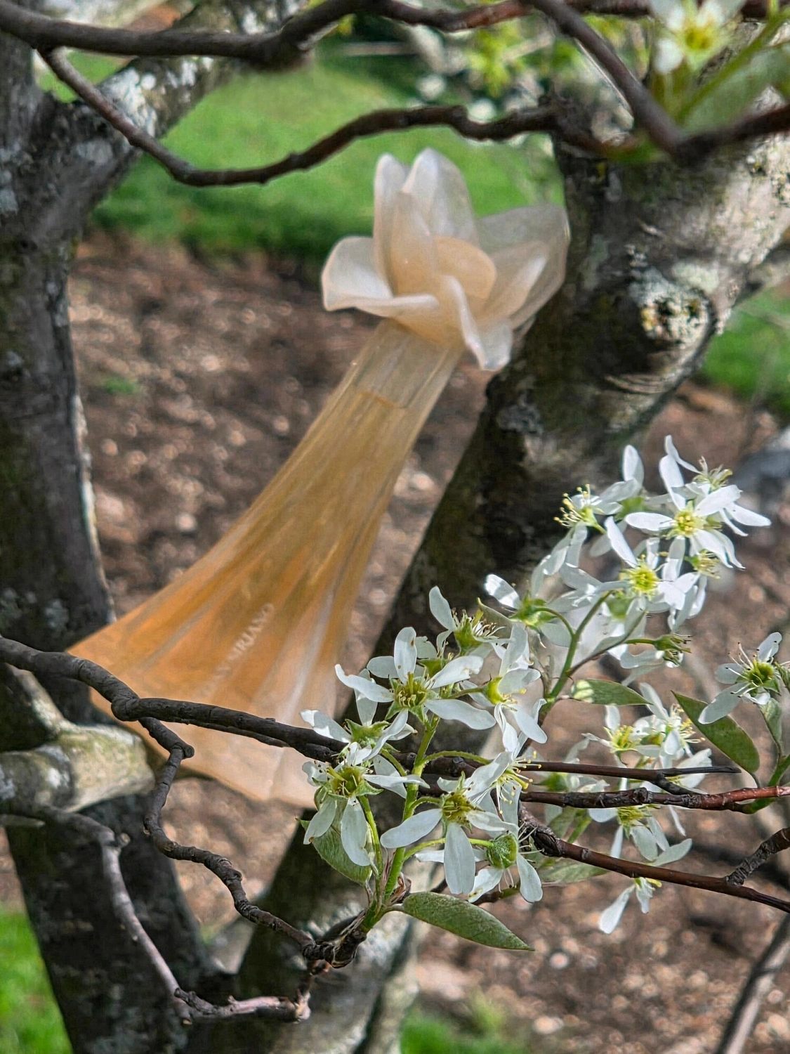 Christian Siriano Silhouette Au Naturel
