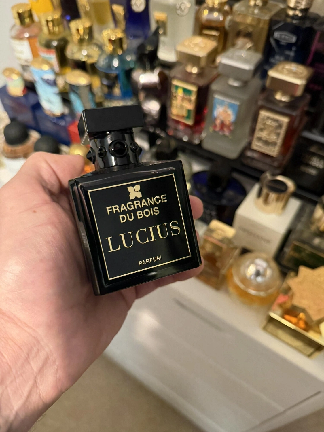 Fragrance du Bois Lucius