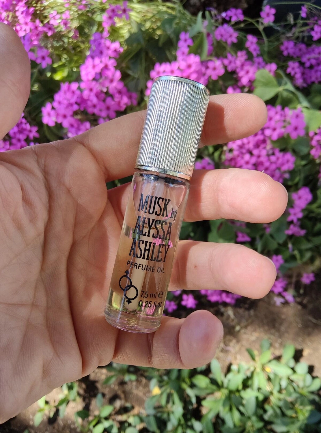 Alyssa Ashley Musk Alyssa Ashley Musk