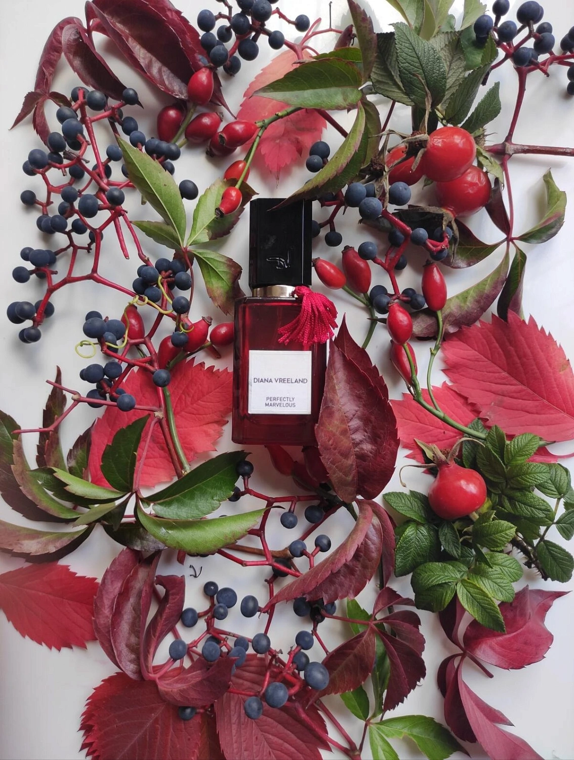 Diana Vreeland Perfectly Marvelous