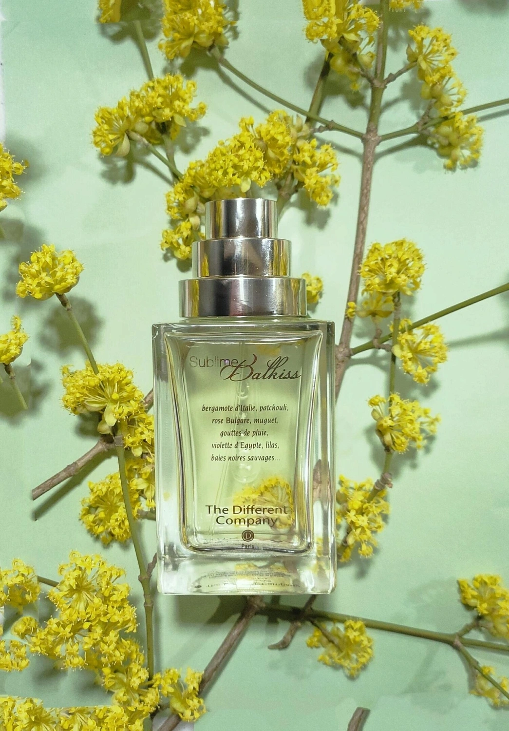 The Different Company Sublime Balkiss