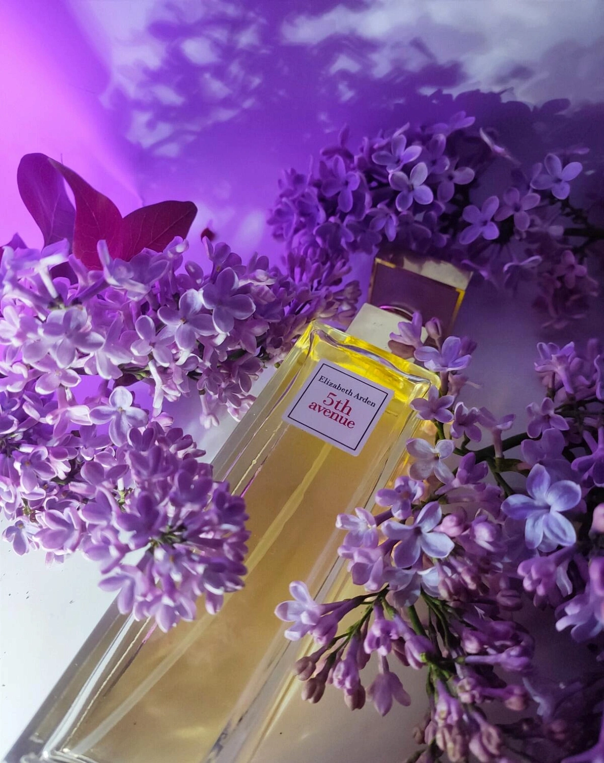 Elizabeth Arden 5th Avenue After Five