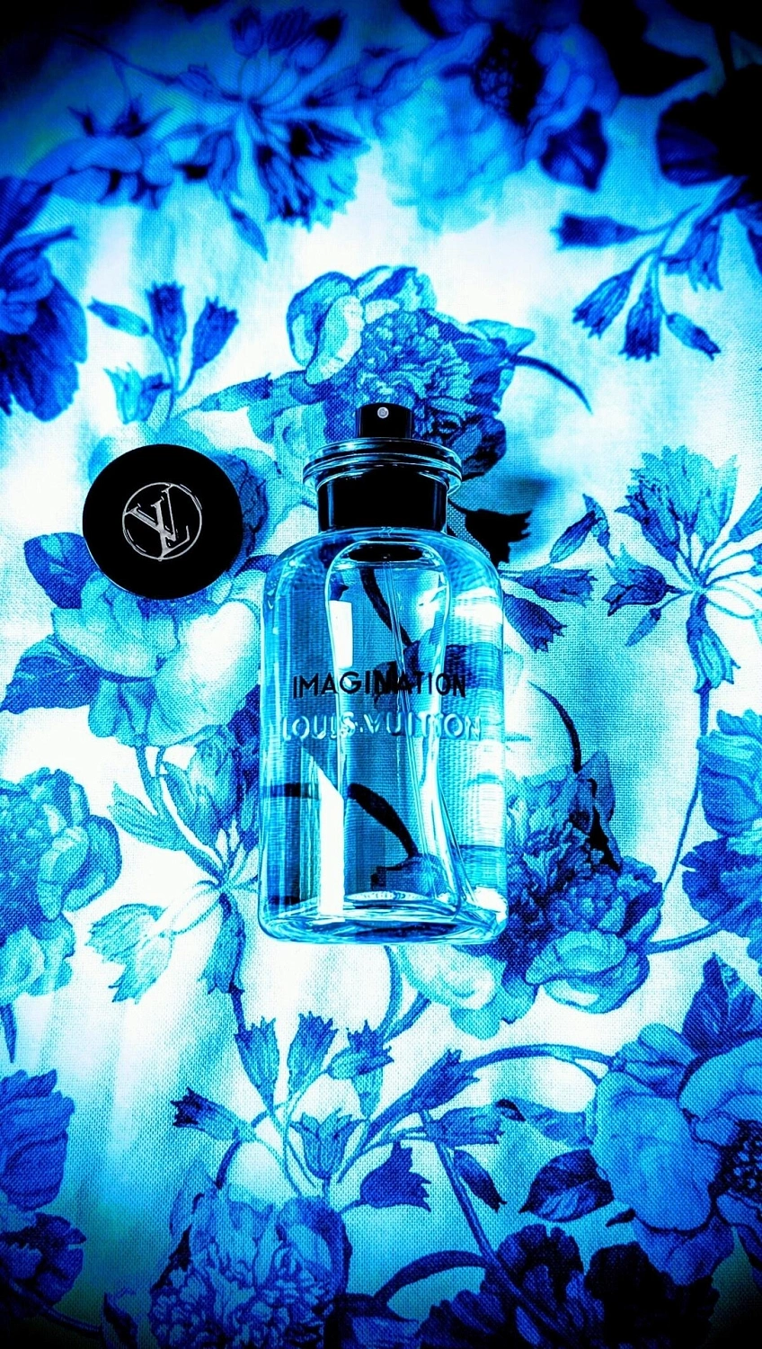 Louis Vuitton Imagination