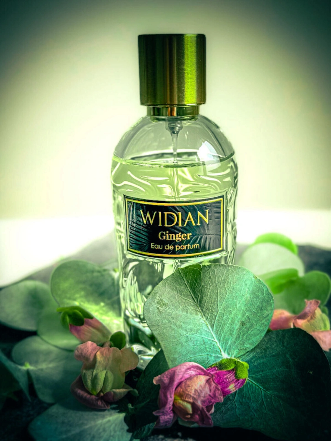 Aj Arabia Widian Rose Arabia Ginger Aj Arabia Widian Rose Arabia Ginger