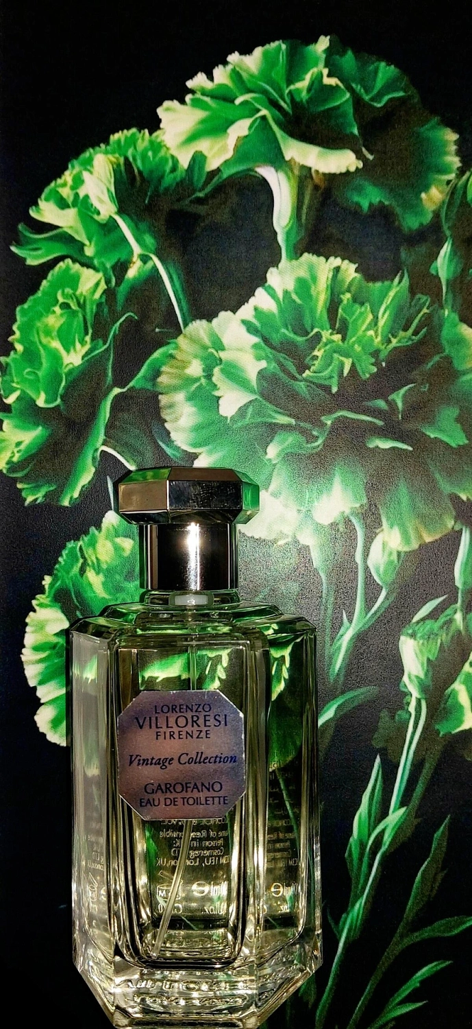 Lorenzo Villoresi Garofano