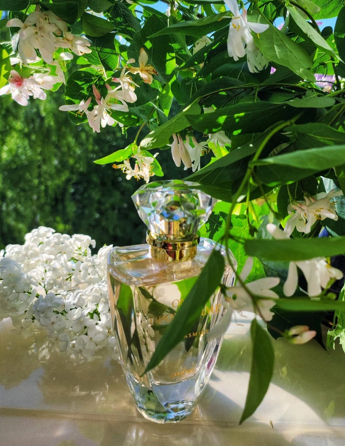 Brocard Once Upon a Time 1001 Жасмин