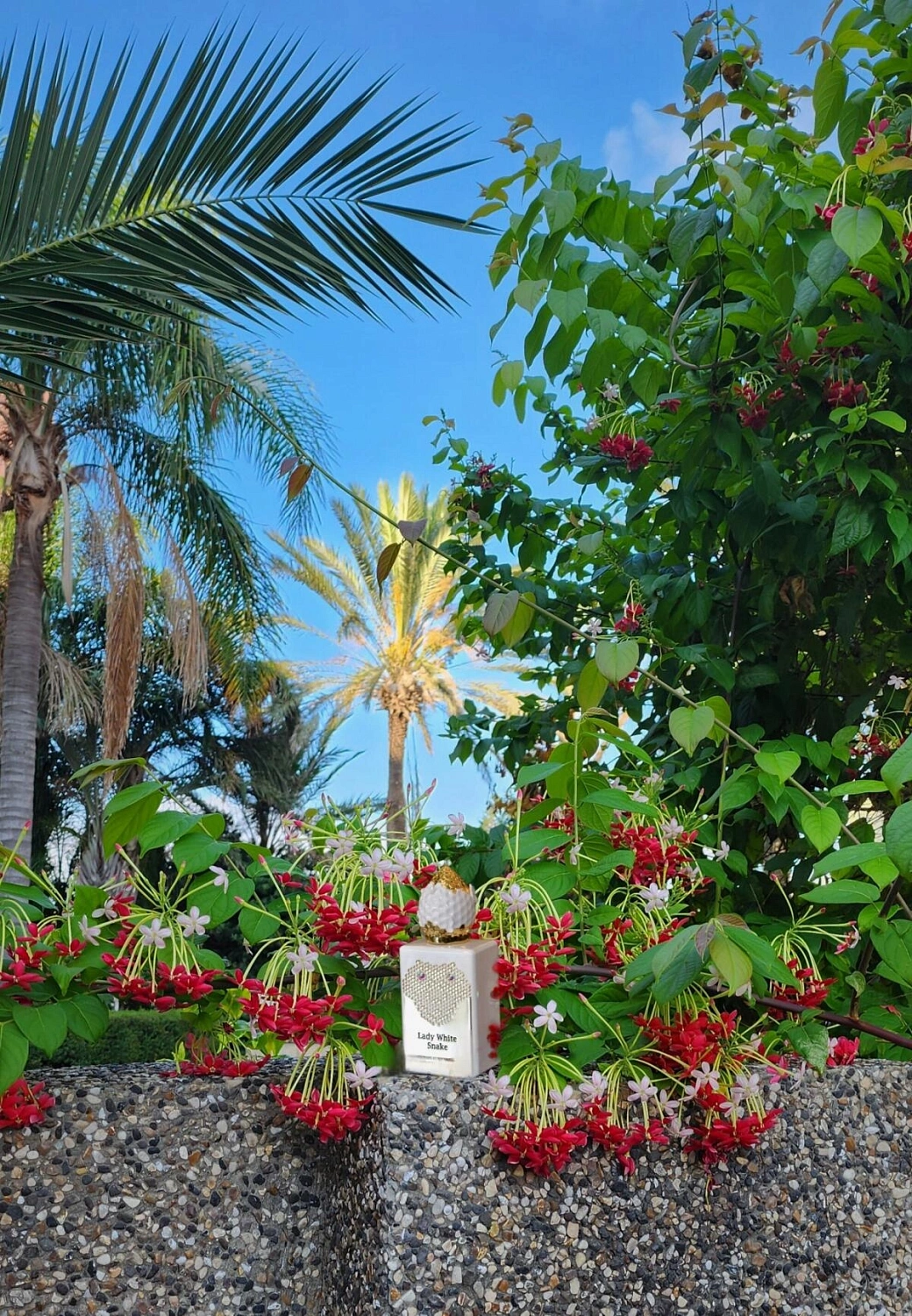 Paradis des Sens Eden