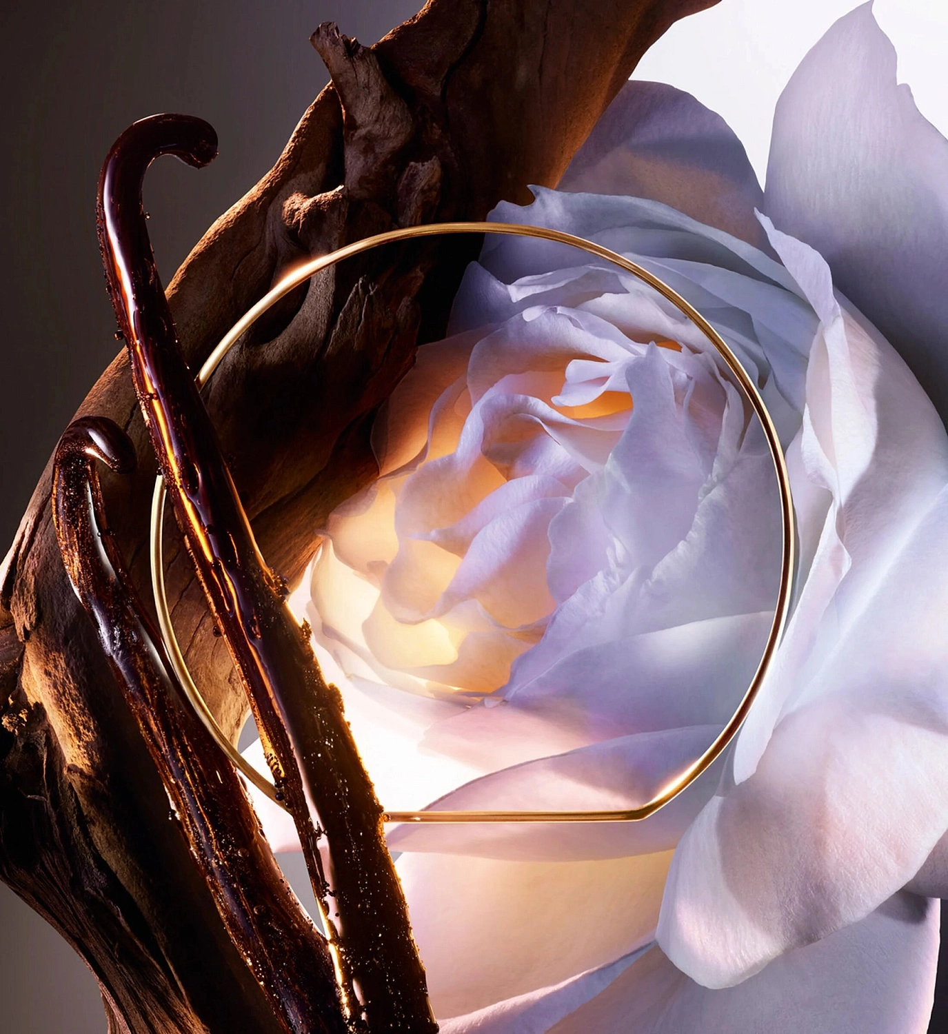 Lancome Absolue Rose On The Moon