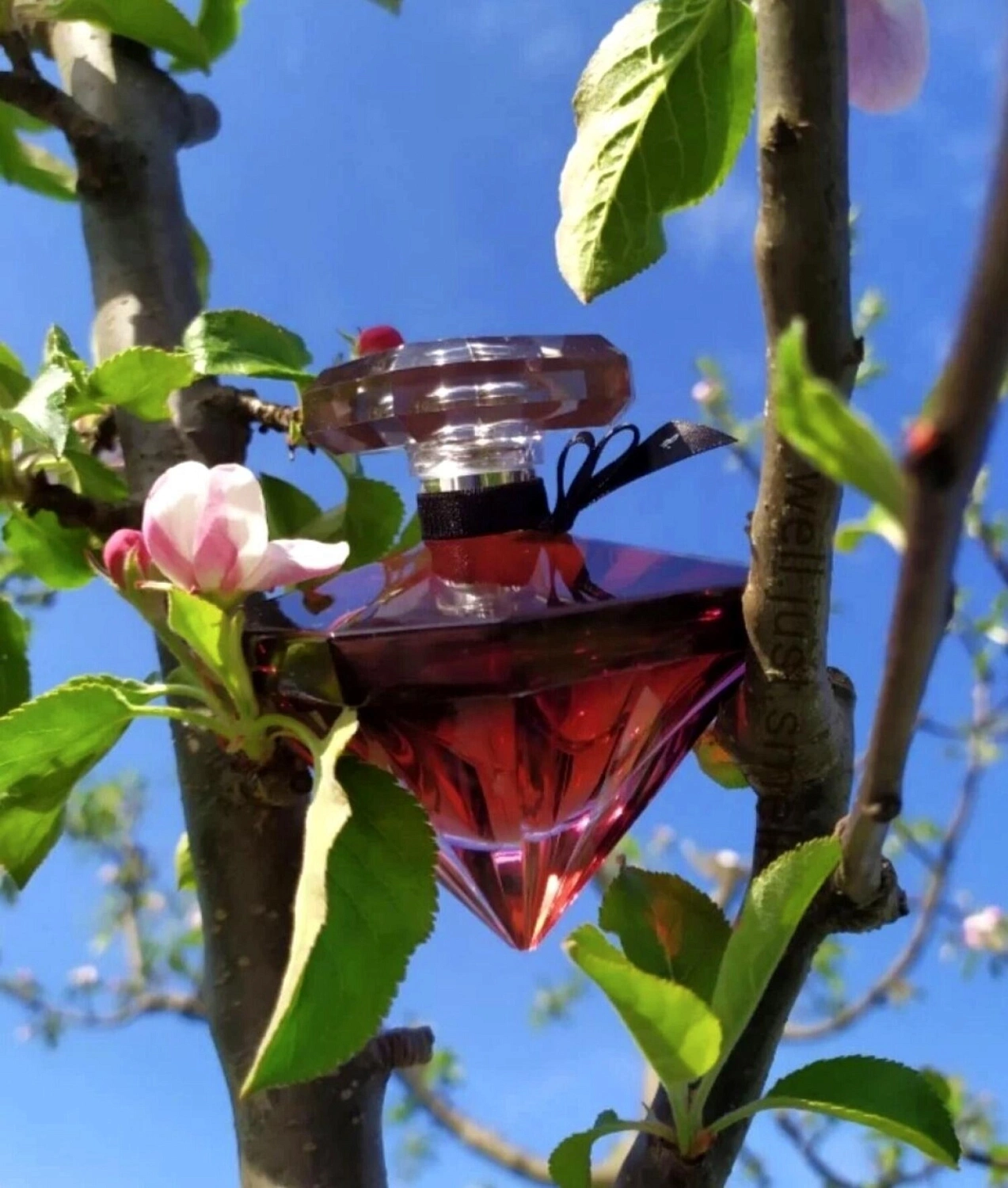 Lancôme La Nuit Tresor a la Folie