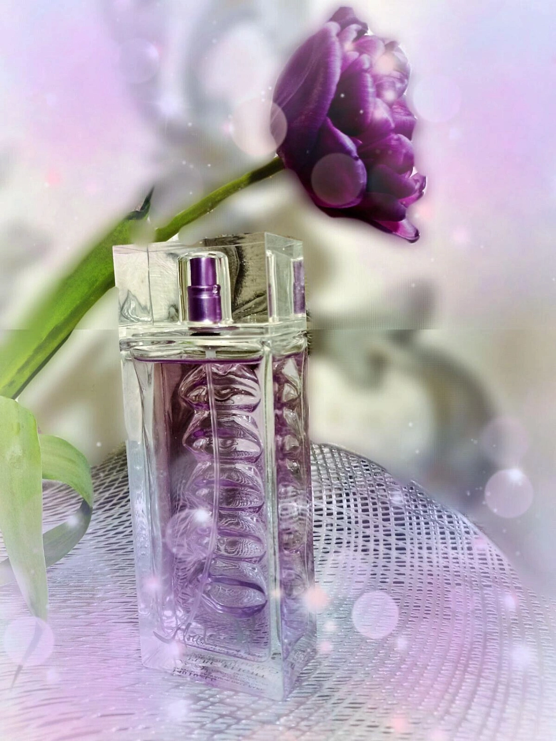 Salvador Dali Purplelight